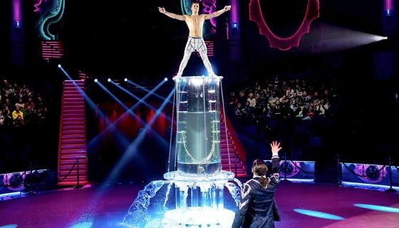 Цирк «Шоу воды, огня и света!»