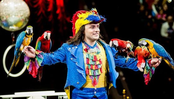 Цирк «Шоу воды, огня и света!»