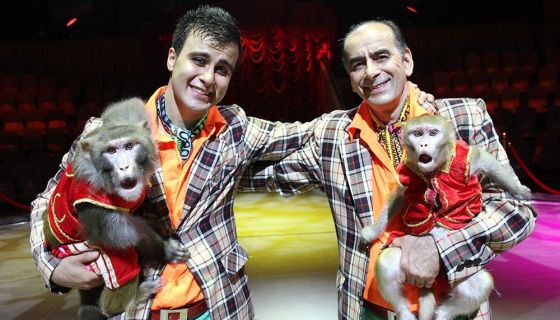 Цирк «Шоу воды, огня и света!»