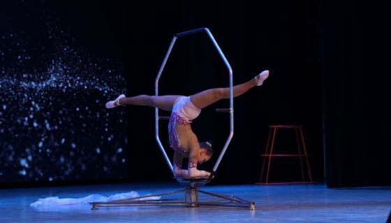 Цирковое шоу «Парадиз», Курчатов